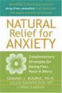 Natural Relief for Anxiety: Complementary Strategies for Easing Fear, Panic & Worry by Edmund J. Bourne, arlen Brownstein, Lorna Garano