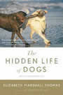 The Hidden Life of Dogs by elizabeth Marshall Thomas